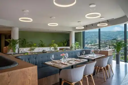Golden Tulip Design - 6