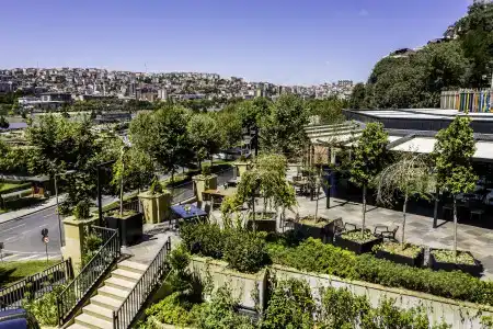 Clarion Golden Horn - 6