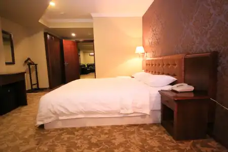 Borjomi Palace Health & Spa Center - 67