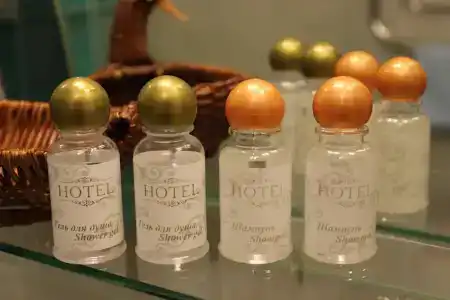 Gostinitsa Moskovskaya - 43