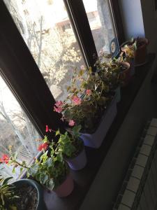 Arm Hostel - 26