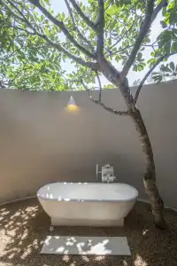 The Frangipani Tree by Edwards Collection - 34