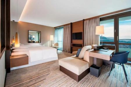 Sheraton Grand Metechi Palace - 20