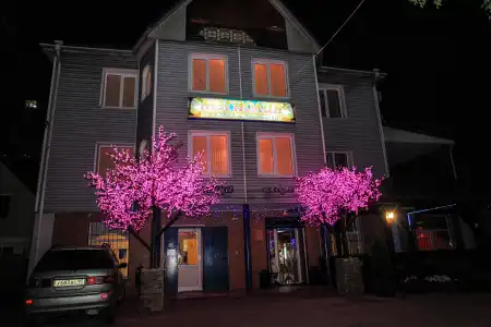 Magnoliya - 4