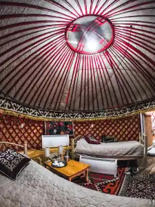 Yurt camp GREEN CAMP - 3