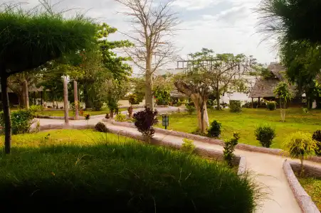 Zanzi Rest Bungalow - 38