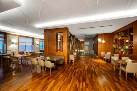 Holiday Inn BAKU by IHG - 9