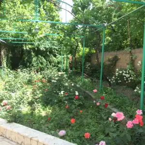 Eco-Resort Lorret - 30
