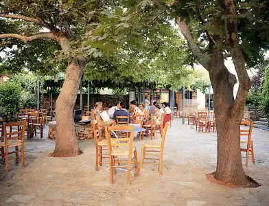 Sentido Kyknos Beach Adults Only - 8