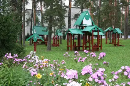 Sosnovyi Bor - 2