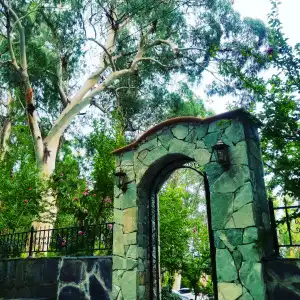 Vita Garden - 6