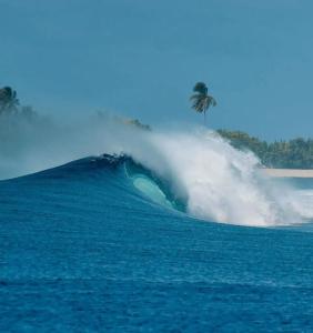 The Maverick Surf and Dive Boutique - 6