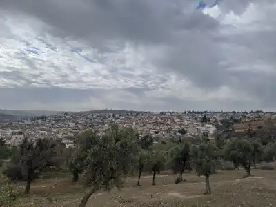 Riad Meski - 27
