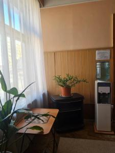 Pansionat Rodina - 11