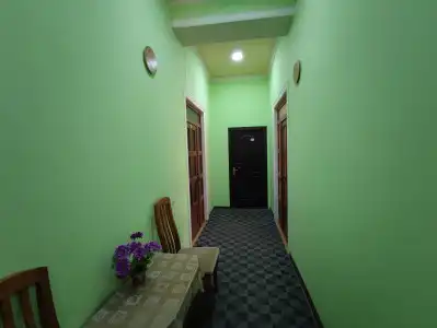 Green House - 5