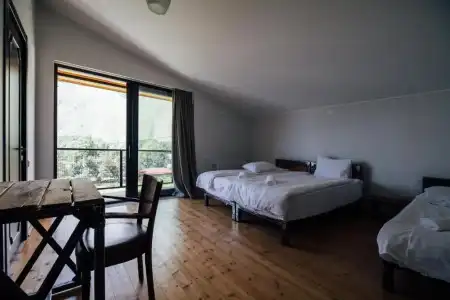 Boutique Green Sheep - 10