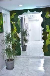 House old - 6