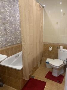 Петровск - 109