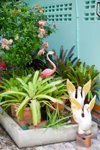 Jardin Mini-Hotel - 19