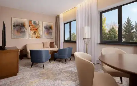 Swissôtel Wellness Resort Alatau - 33