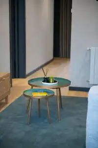 Gratus Aparthotel - 108