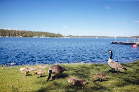 Saimaa Life Apartments - 21