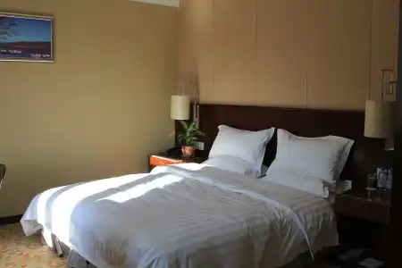Soluxe Almaty - 29