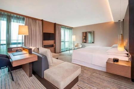Sheraton Grand Metechi Palace - 18