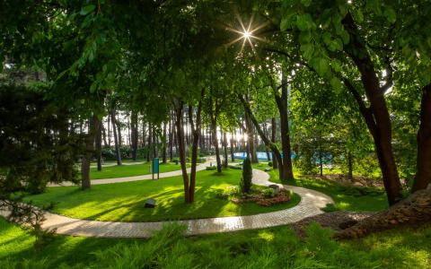 Primorye Grand Resort - 22