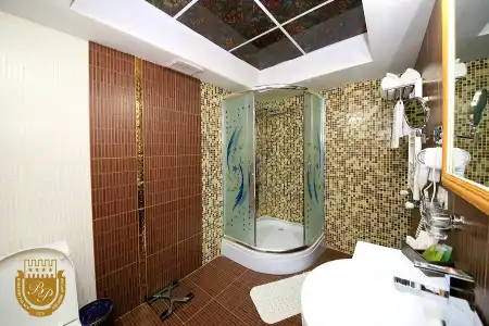 Borjomi Palace Health & Spa Center - 72