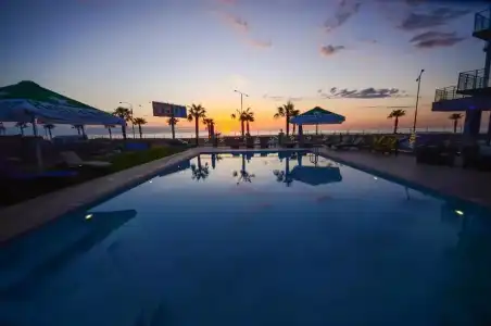 Batumi Palm - 5