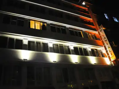 Divani Ali - 2