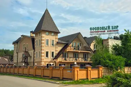 Gostinichnyij Kompleks Sosnovyij Bor - 11