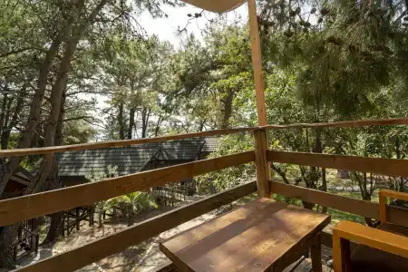 Sea Valley Lodge - 64