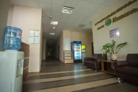 Azalya - 1