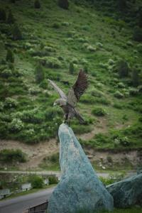Rahmat Yurts - 18
