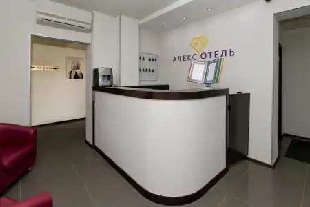 Alex in Bogatyrsky Mini-Hotel - 9