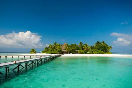 V Villas Maldives at Mirihi - MGallery Collection Resort - 7