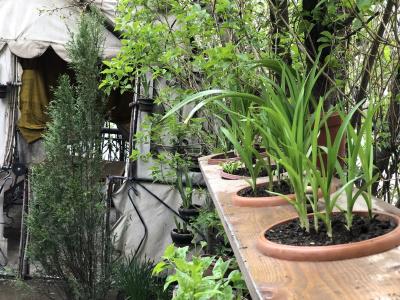 Dom Polski Guest House - 22