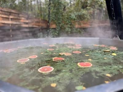 Goosi-Lebedi Wellness Centre - 100