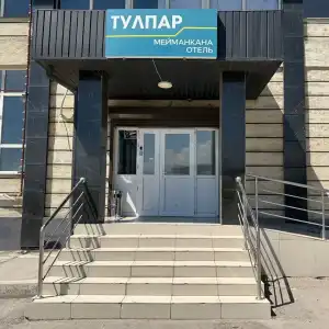 Tulpar Mini - 0