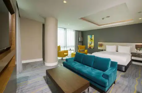 Radisson Blu, Kayseri - 26