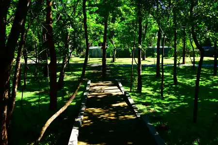 Sigiri Asna Nature Resort - 2
