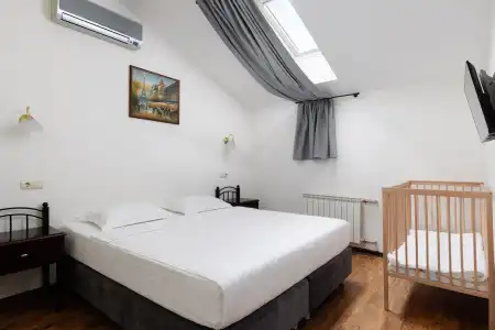 Parus - 32
