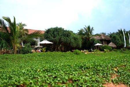 Temple Tree Resort & Spa - 22