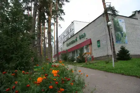 Sosnovyi Bor - 3