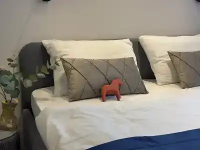 Travelto Petrovskiy Park - 126