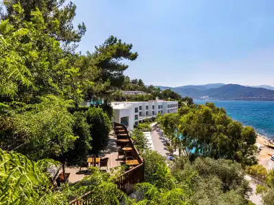 Blue Dreams Resort - 33