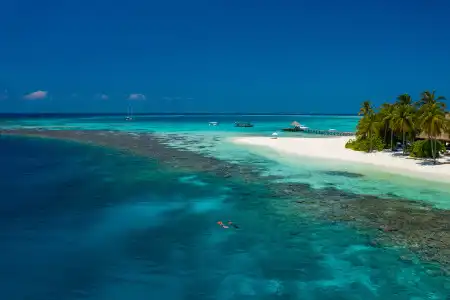 V Villas Maldives at Mirihi - MGallery Collection Resort - 4