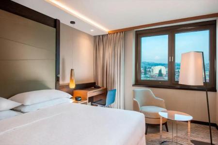 Sheraton Grand Metechi Palace - 16